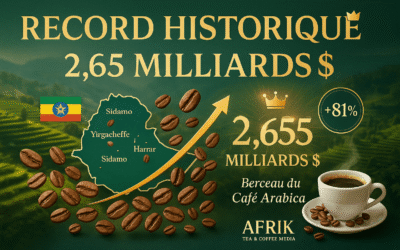 Records Historiques : L&rsquo;Éthiopie Franchit la Barre des 2 Milliards de Dollars malgré la Pression Ougandaise